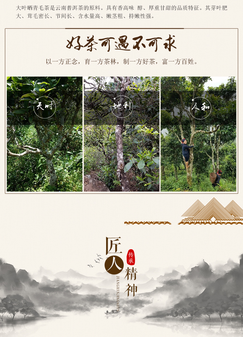 碎银子普洱熟茶汤色红润清香怡人小颗粒茶化石黑茶大叶种晒青茶