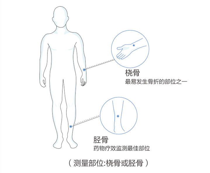 儿童骨密度测量部位图片