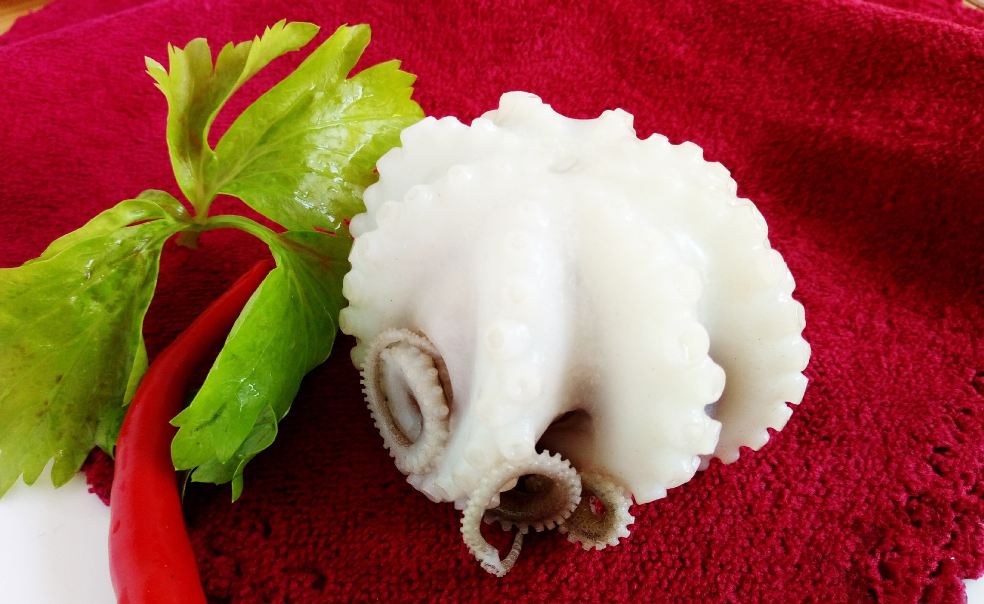 厂家现货 东山海鲜单冻章鱼花散装售卖 冷冻水产品章鱼花 批发