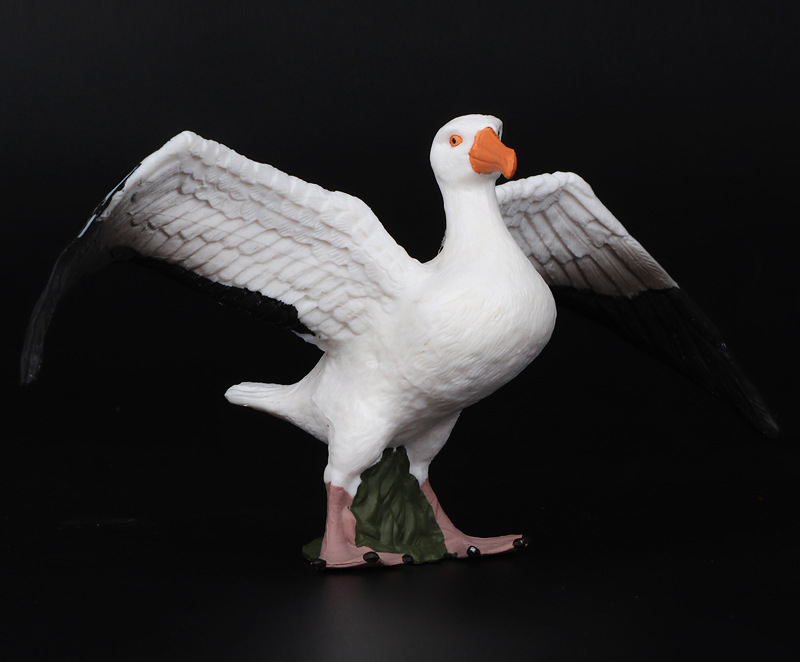 新品仿真动物模型 鸟类 信天翁大型海鸟塑料实心儿童认知科教摆件