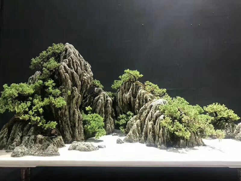 峰景园林景观创意小摆件小盆景青龙石 黑色带白纹仿真石头青龙石