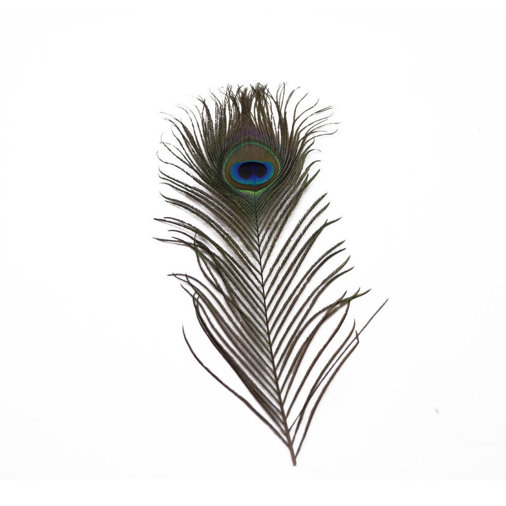 现货供应25-30公分天然孔雀毛工艺品diy羽毛饰品配件装饰服装辅料-阿