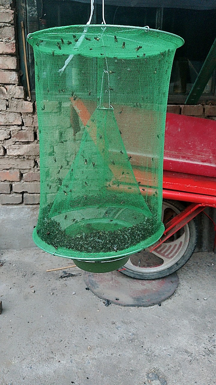 12个十二个装捕蝇笼高效灭苍蝇诱蝇笼捕蝇可拆卸捕蝇笼灭蝇器