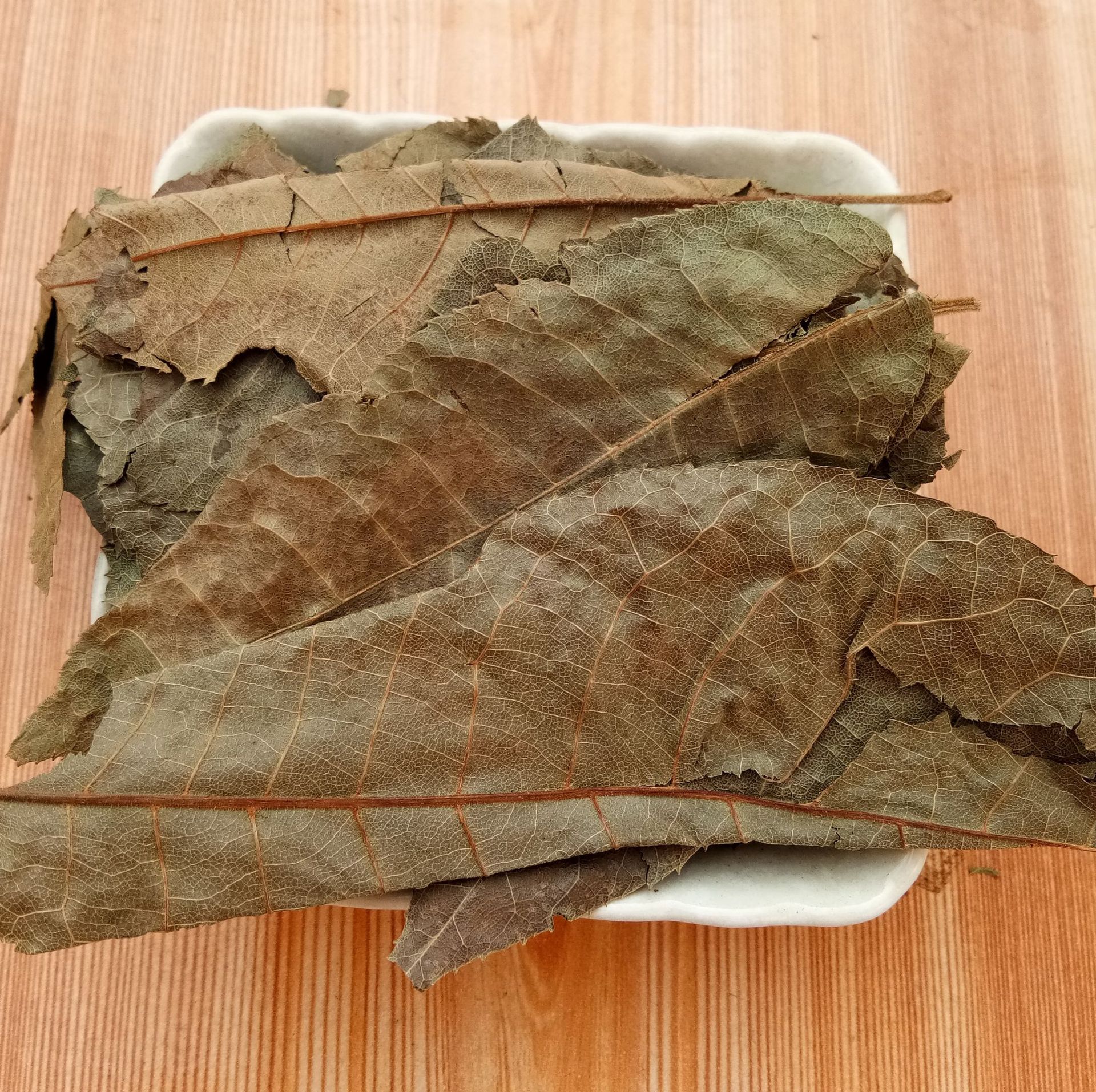 中药材 青钱柳 金钱柳叶 摇钱树 产地货源 承接订单 量大从优