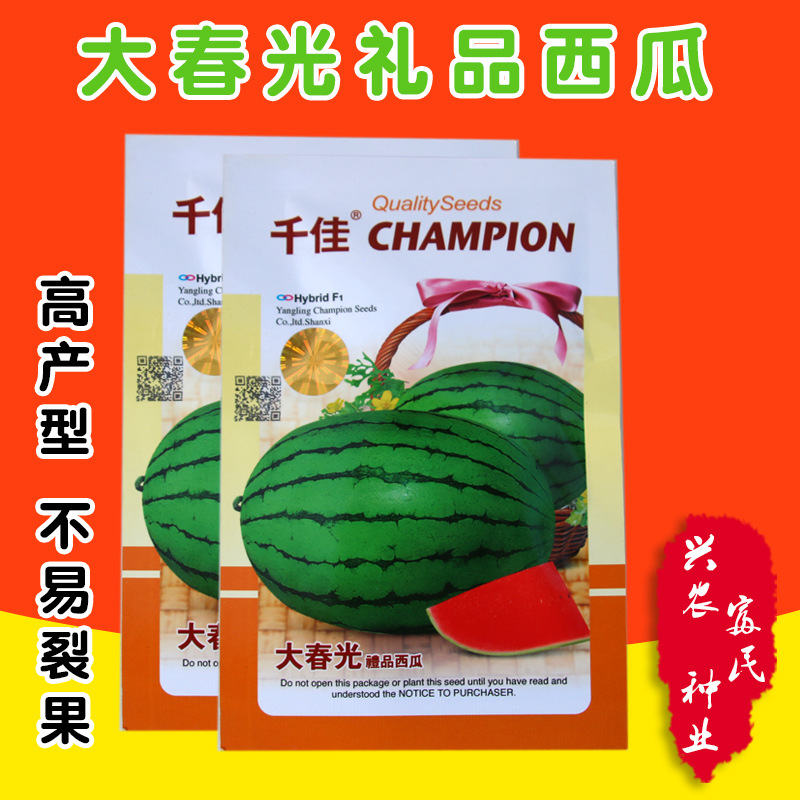 千普种子