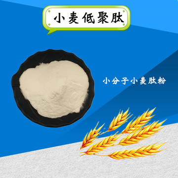 小麦低聚肽小麦肽小麦低聚肽粉小麦蛋白粉小分子肽-阿里巴巴
