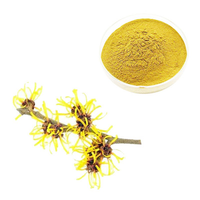 慧科销售金缕梅提取物厂家直销金缕梅提取物现货供应金缕梅提取物