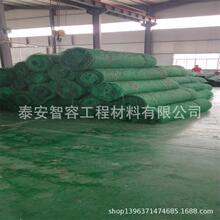 厂家大量批发三维植被网 质优价低规格全  三维土工网垫