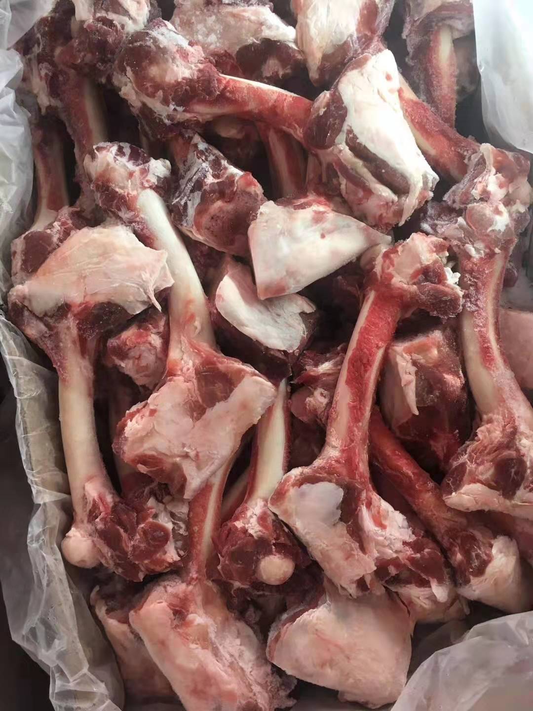 批发羊棒骨 羔羊多肉棒骨 大羊多肉棒骨 育肥羊棒骨 羊干棒骨