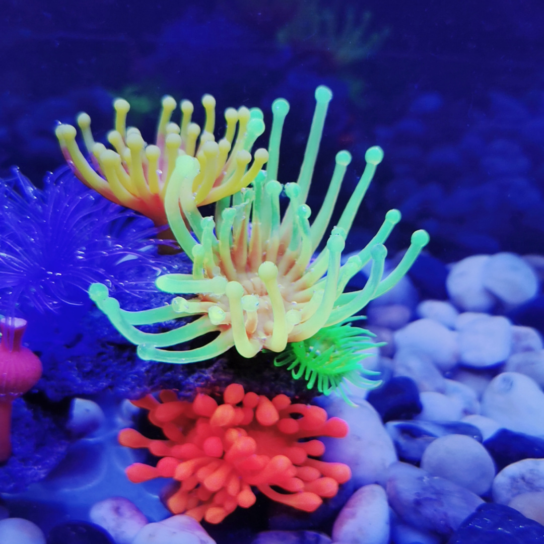 水族箱水族鱼缸造景仿真珊瑚海草海树硅胶海草夜光荧光仿真珊瑚树