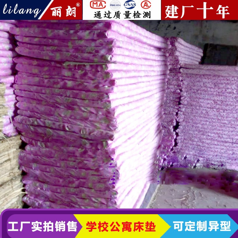 厂家生产儿童幼儿园午睡专用睡垫 学生宿舍床垫可水洗量大价优
