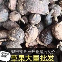 草果500g/件云南草果大量批发香料八角山奈香叶砂仁调料孜然桂皮