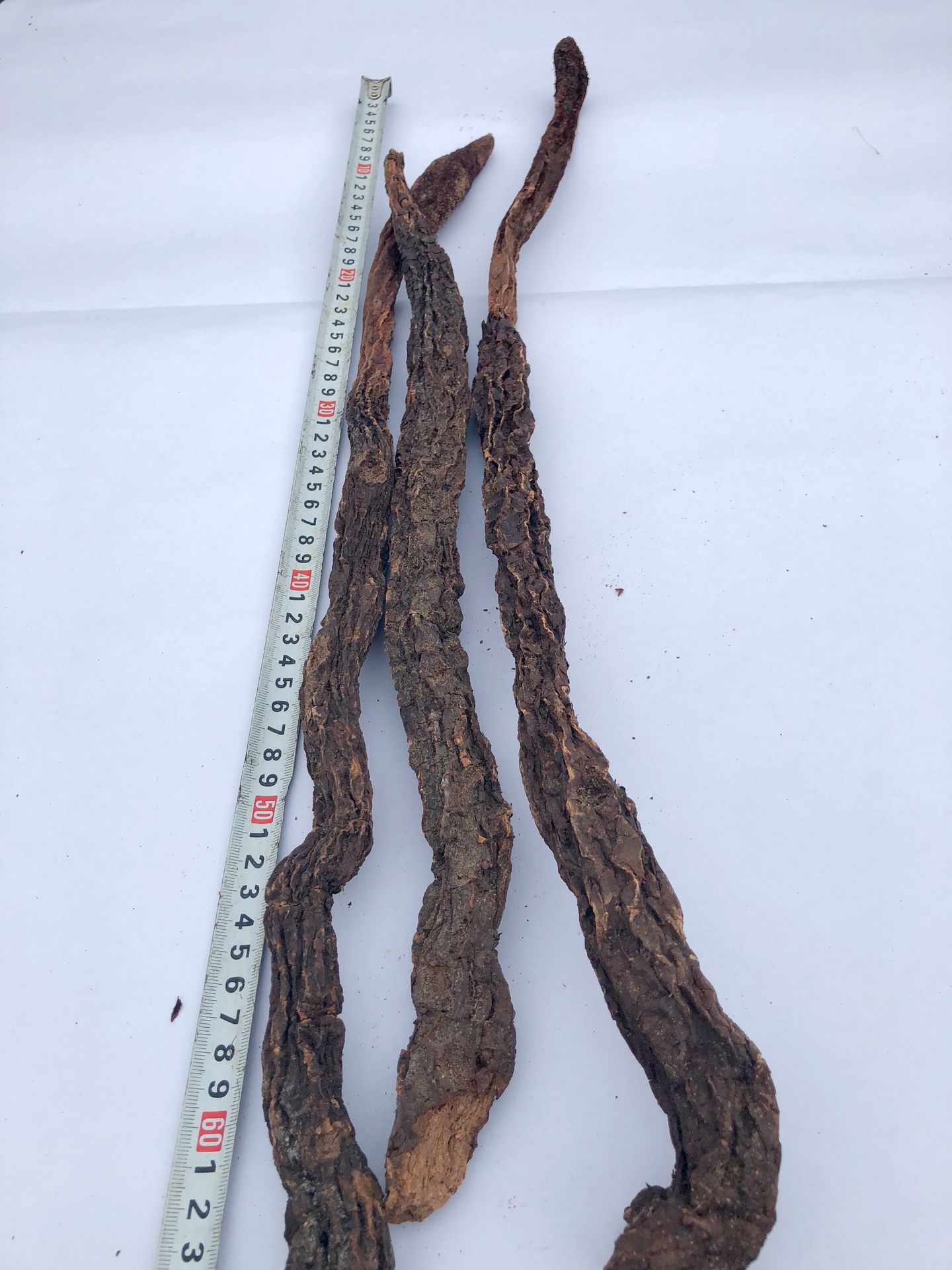 大量批发内蒙古阿拉善大个锁阳泡酒养生滋补正宗优质金锁阳3根1斤