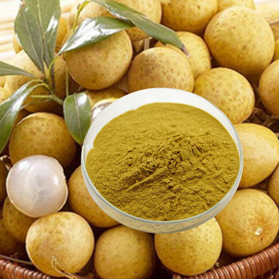 【厂家直销】桂圆粉10:1 陕西森弗 源头 龙眼粉 桂圆提取物