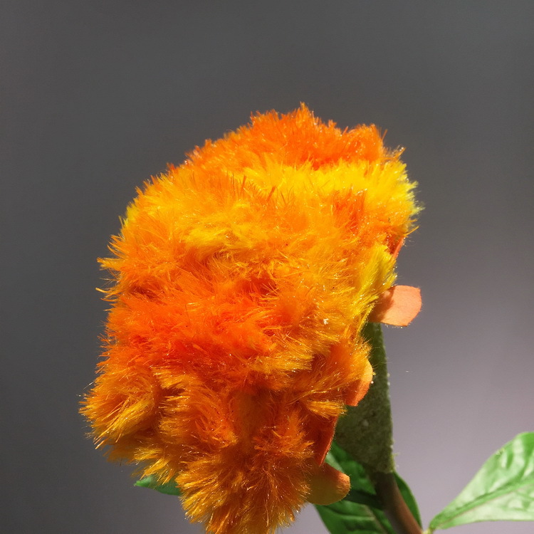 绒布红色橘黄色仿真鸡冠花仿真花假花客厅阳台书房餐桌装饰花摆设