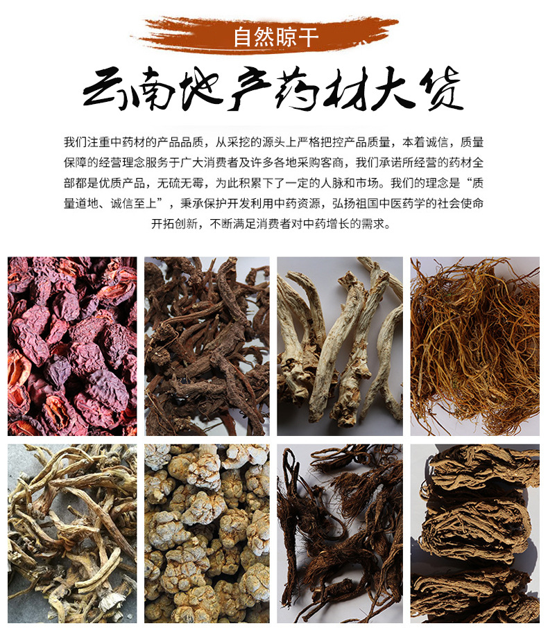 批发云南重楼 名贵中药材 云南源产地供应 滇重楼 重楼