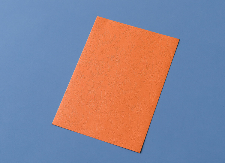 书昶皮纹纸a3 420 160g装订封面纸 彩色封面纸彩纸 彩色卡纸 包邮