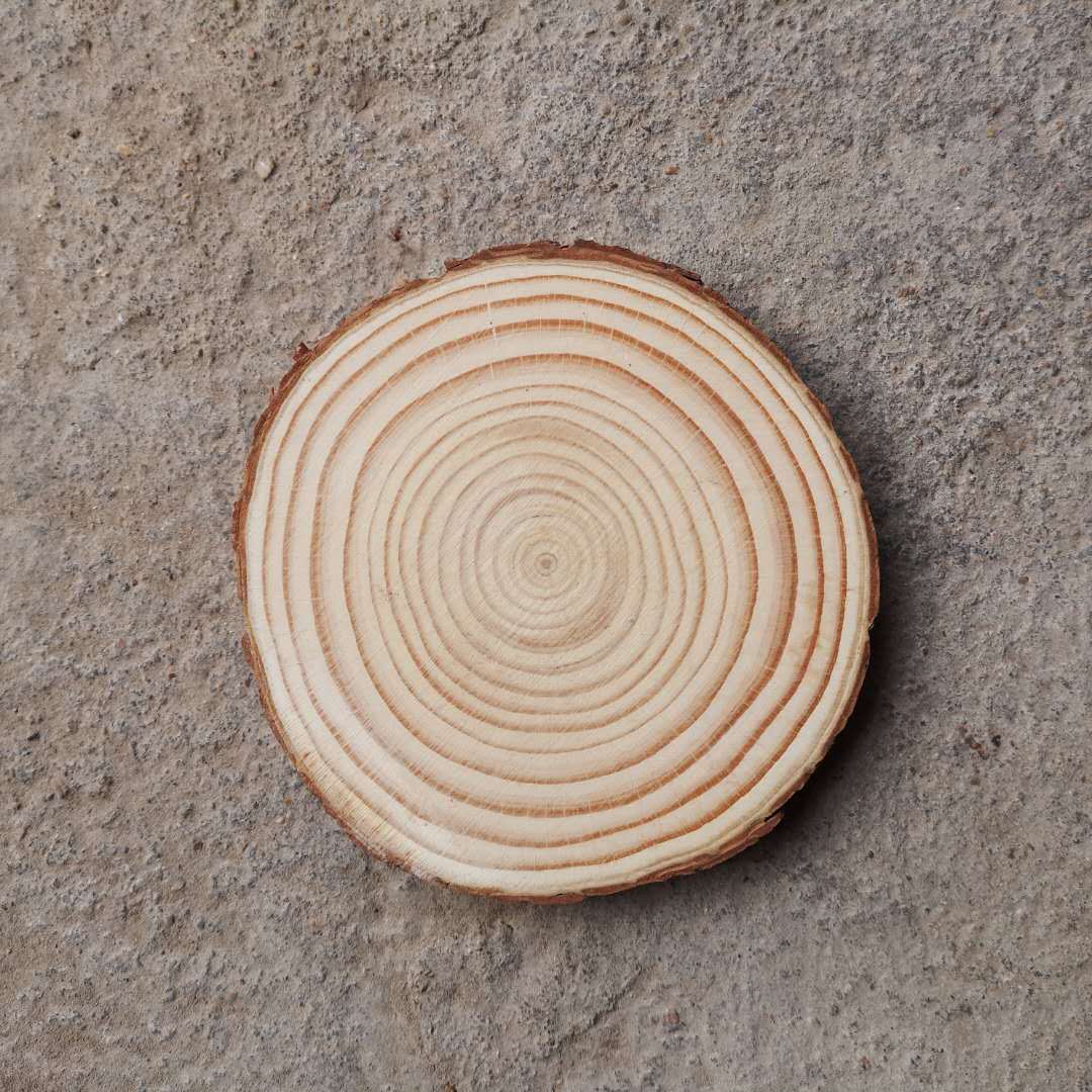 diy圆树皮原木片 手绘涂鸦 松木片年轮木片实木摆件原木片diy