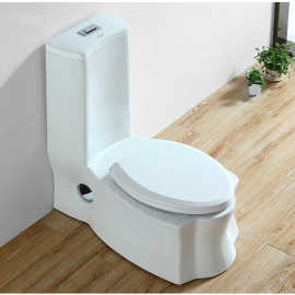 浪鲸蹲坐用马桶一体双用蹲便器可蹲可坐防冻防臭坐便器大便器老人