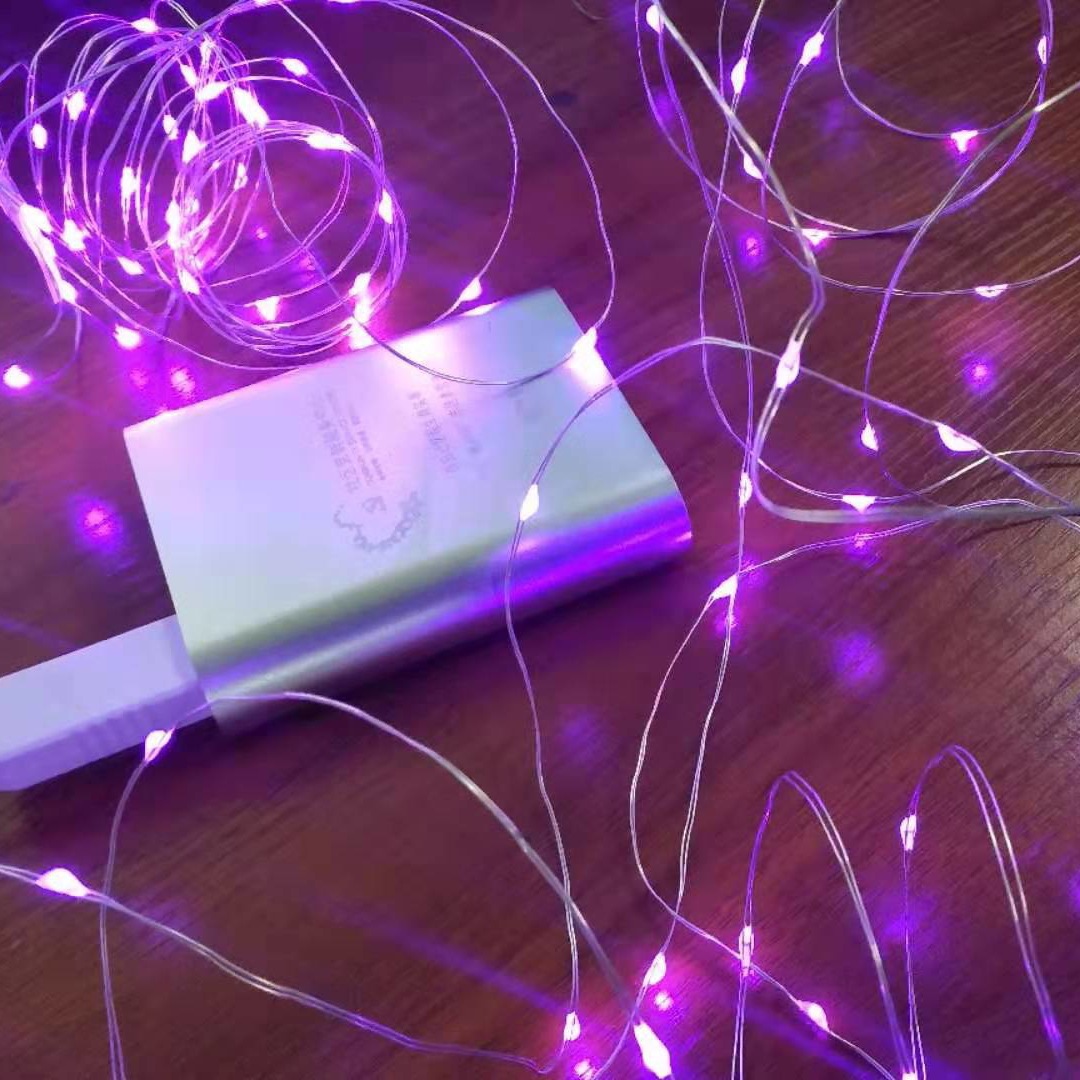 欧美热销 工厂降价直销 圣诞节装饰品 紫色灯串usb款 可自定长短
