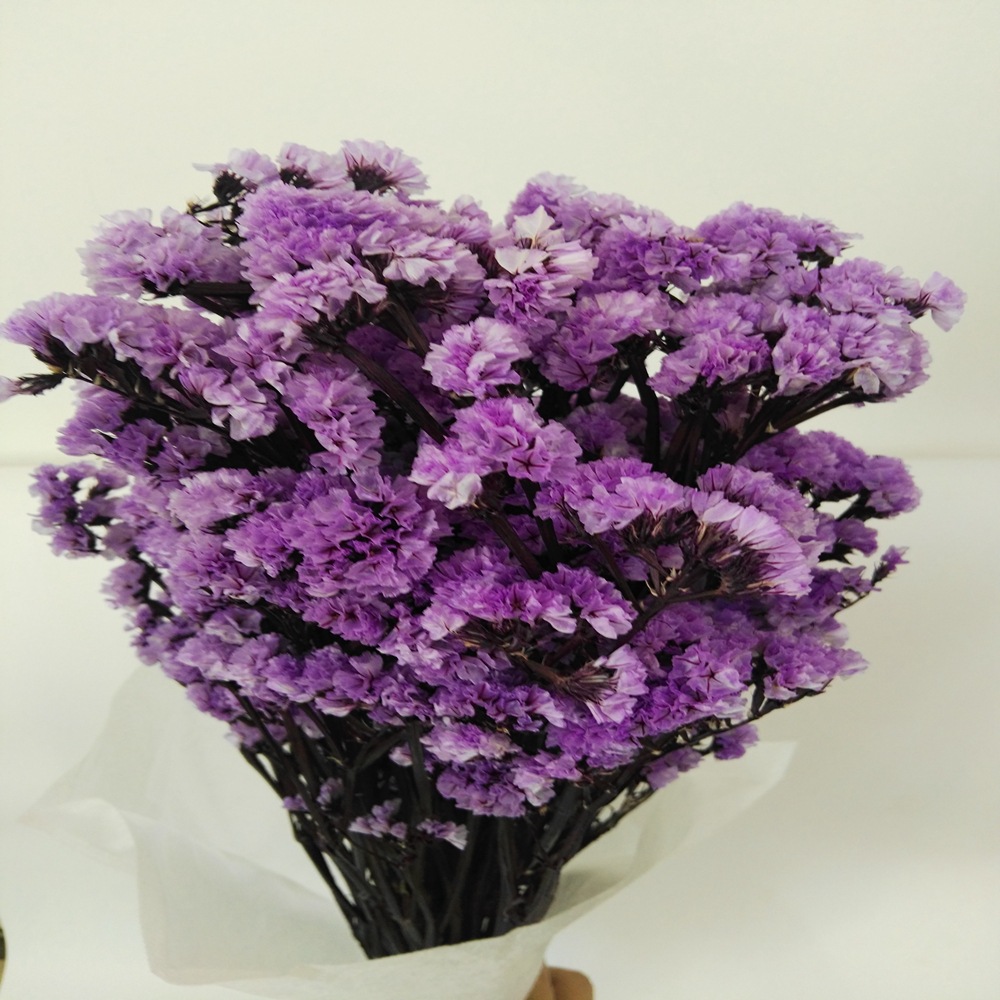 手工diy干花永生花勿忘我插花配材家居装饰配草干花干草勿忘我