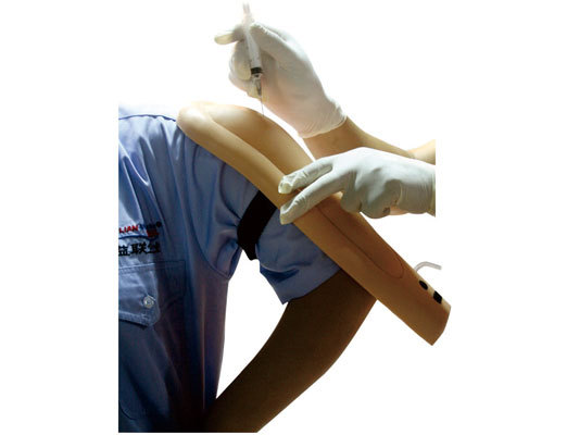 高级静脉穿刺及肌肉注射手臂模型