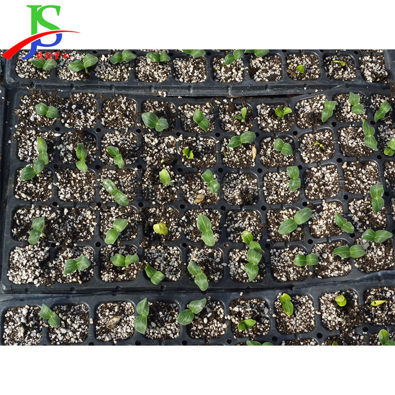 200孔辣椒蔬菜穴盘育苗机 蔬菜花卉基地穴盘播种机 自动育苗工具