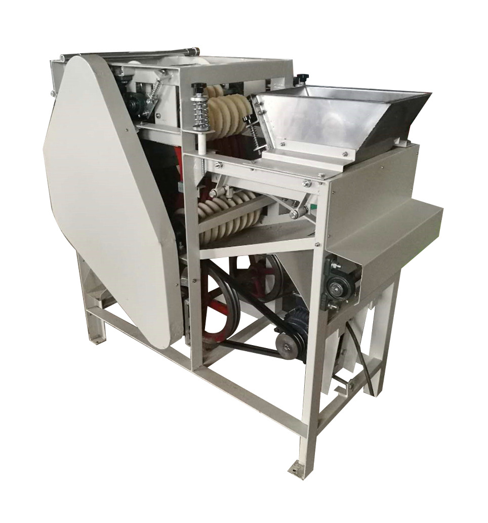 巴旦木去皮机 杏仁花生去皮机 湿法去皮扒皮专用设备 支持定制