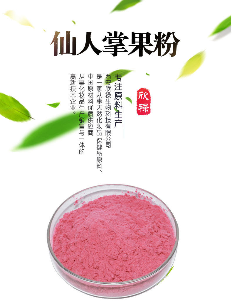 仙人掌果粉 99.9% 仙人掌粉 厂家直销 品质保证现货包邮