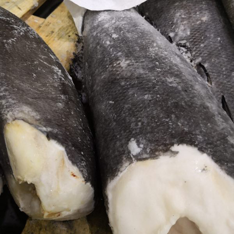 定制批发澳洲银鳕鱼 整条鱼去头尾 南极深海进口新鲜冷冻鳕鱼