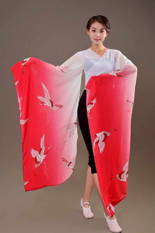博袖广袖汉服广袖练习服汉唐大袖古典舞袖技舞蹈水袖古装礼仪之邦