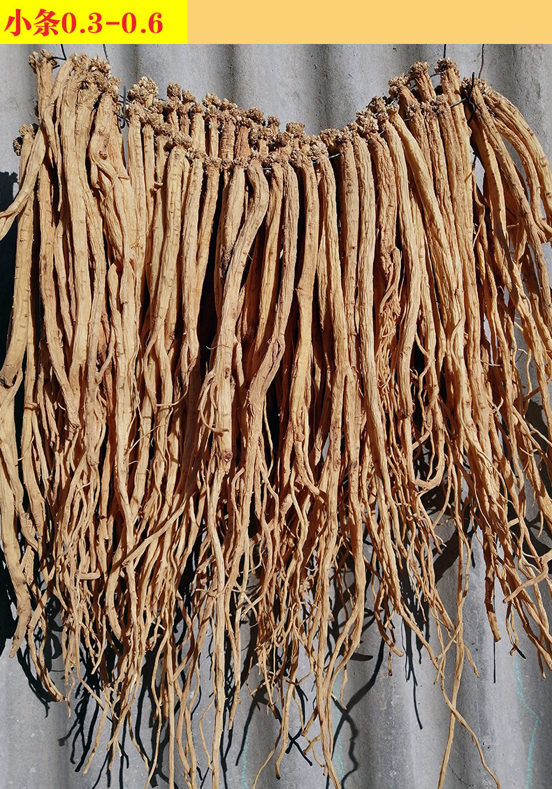 党参中批发原条甘肃干货新党参条0.8中药材农家甜党参