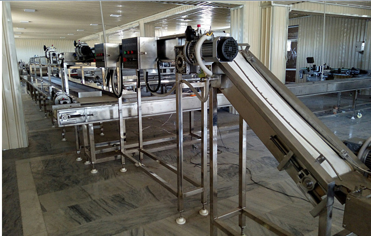 厂家定制鹌鹑蛋卤制生产线 禽蛋类卤煮加工生产设备