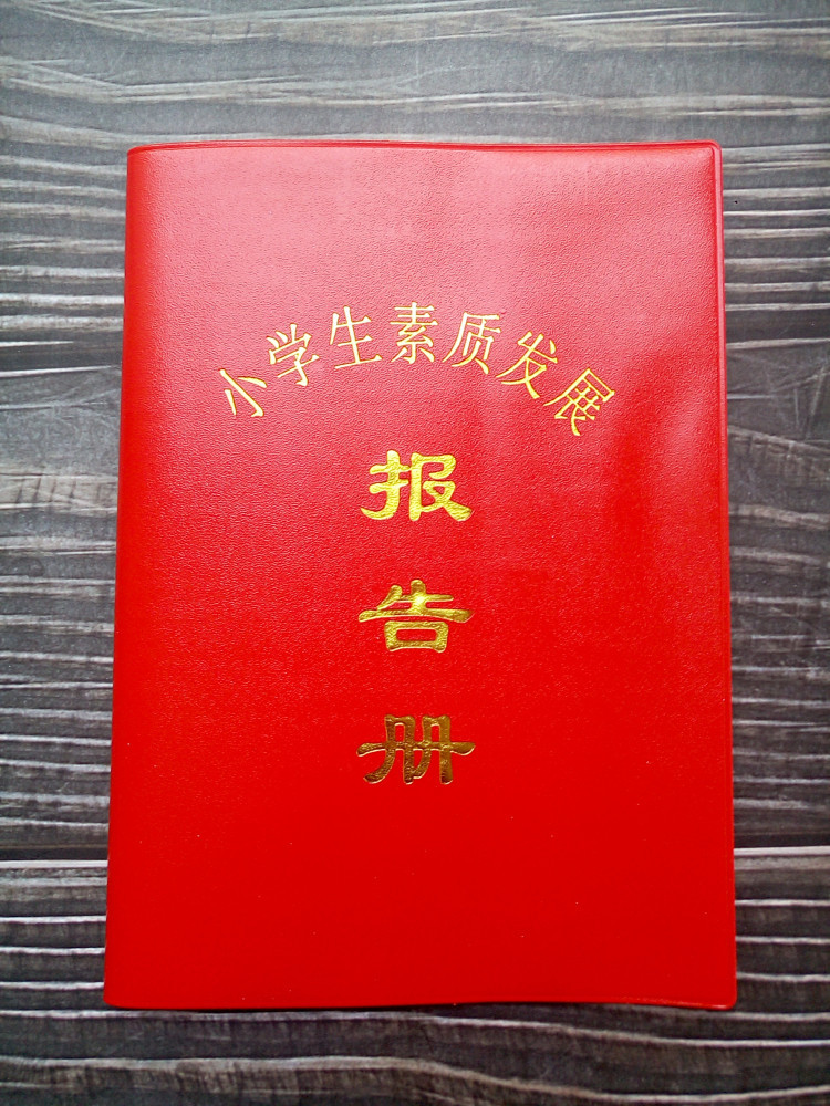 小学生通用红皮素质发展报告册烫金教育综合中学素质学校评价手册