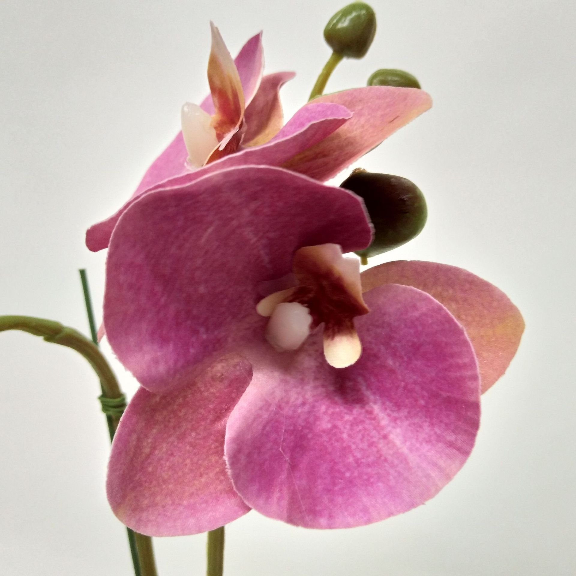 手感2叉小蝴蝶兰 仿真花假花 蝴蝶兰客厅家居样板间摆件蕙兰 婚庆