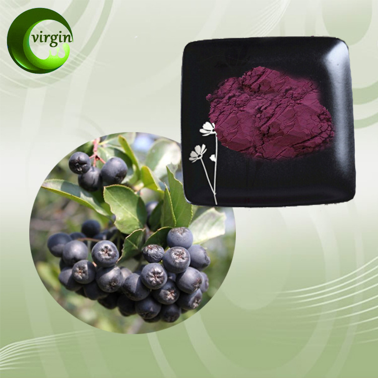 源头厂家 黑果腺肋花楸提取物 25%花青素原料 品质保证 现货包邮