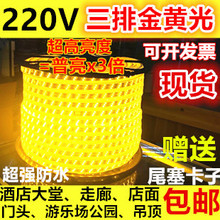 超亮220V三排金黄光LED灯带220v2835三排金黄色LED灯条酒店吊顶灯