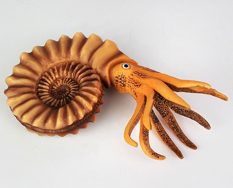 新款仿真鹦鹉螺模型海洋软体生物动物模型塑胶儿童玩具男女孩摆件