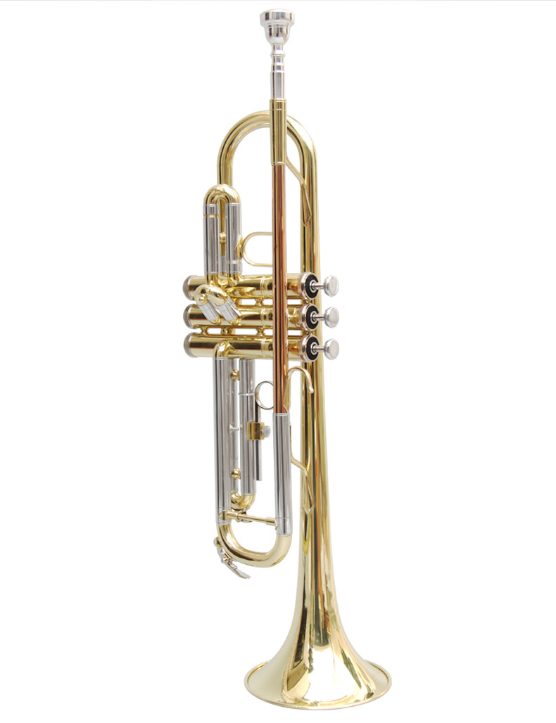 批发 津宝小号乐器jbtr-601小号金色银色初学降b调招标厂家直销