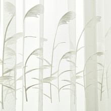 芦苇白色刺绣窗纱批发 绣花纱帘厂家直销 可用于窗户床垫蚊帐