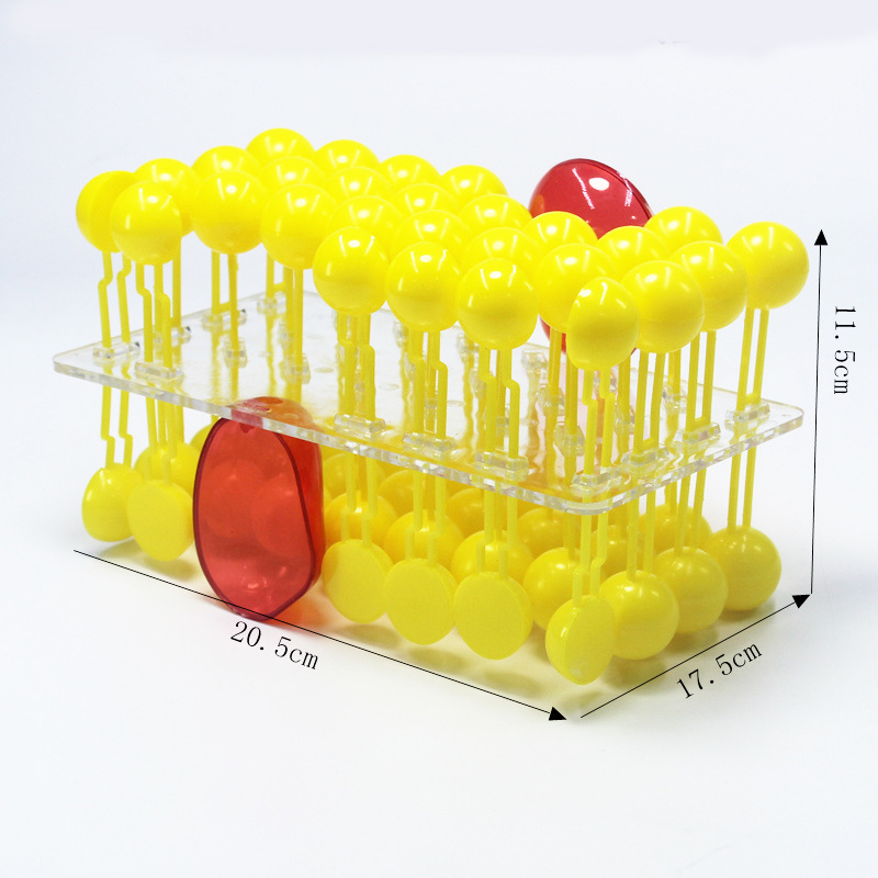 33304细胞膜流动镶嵌模型组件 细胞膜模型 生物实验器材 教学仪器