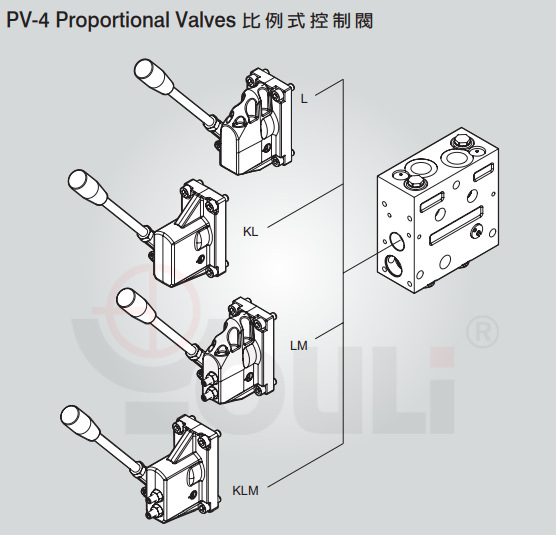 Youli Oil PV-4/8S Series 8-Piece Proportional Control Valve Flow 140L/Min