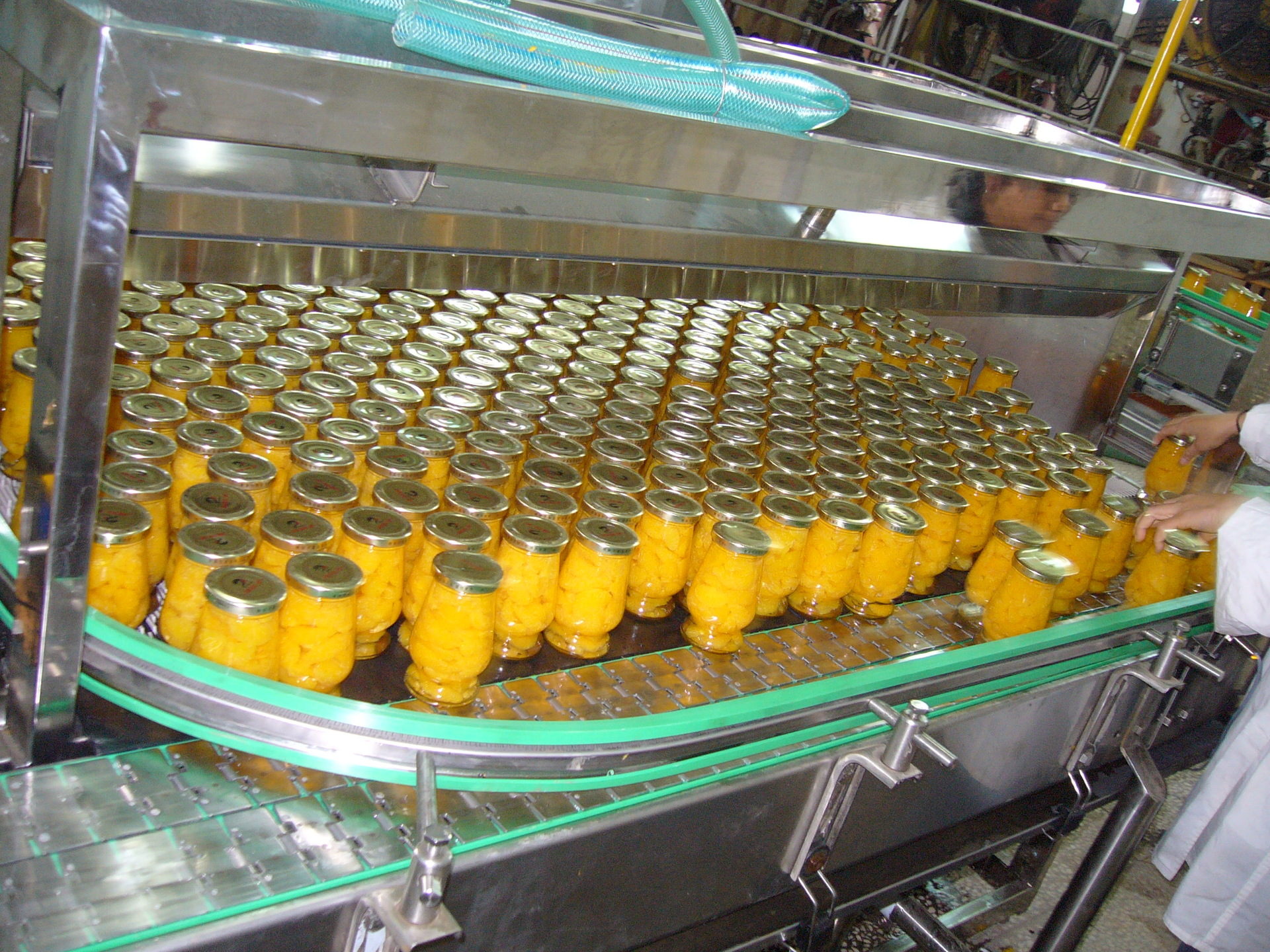 桃杏罐头生产线,柑橘加工设备