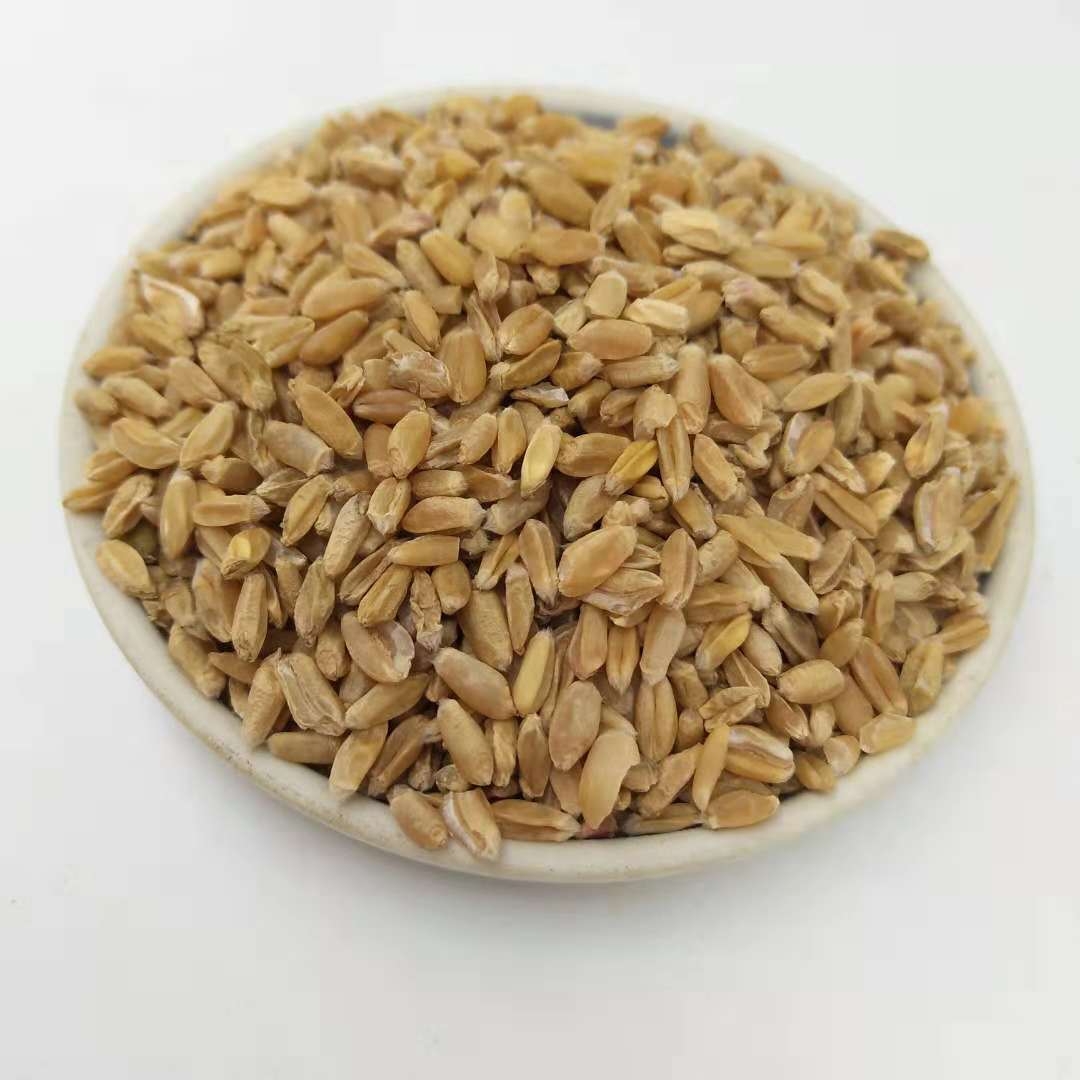 中药材 浮小麦 浮水麦 新货 可打粉 量大从优