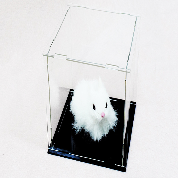 全尺寸可定制亚克力手办拼装透明公仔模型展示盒收纳盒防尘罩厂家
