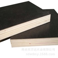 厂家直销建筑模板 建筑覆膜板 清水模板 水泥模板 脱模模板 PVC板
