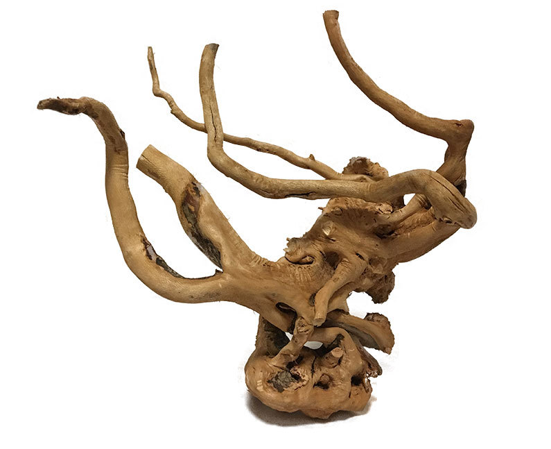 杜鹃根造景精品沉木树根鱼缸雨林缸装饰木宠物摆件水草莫斯树