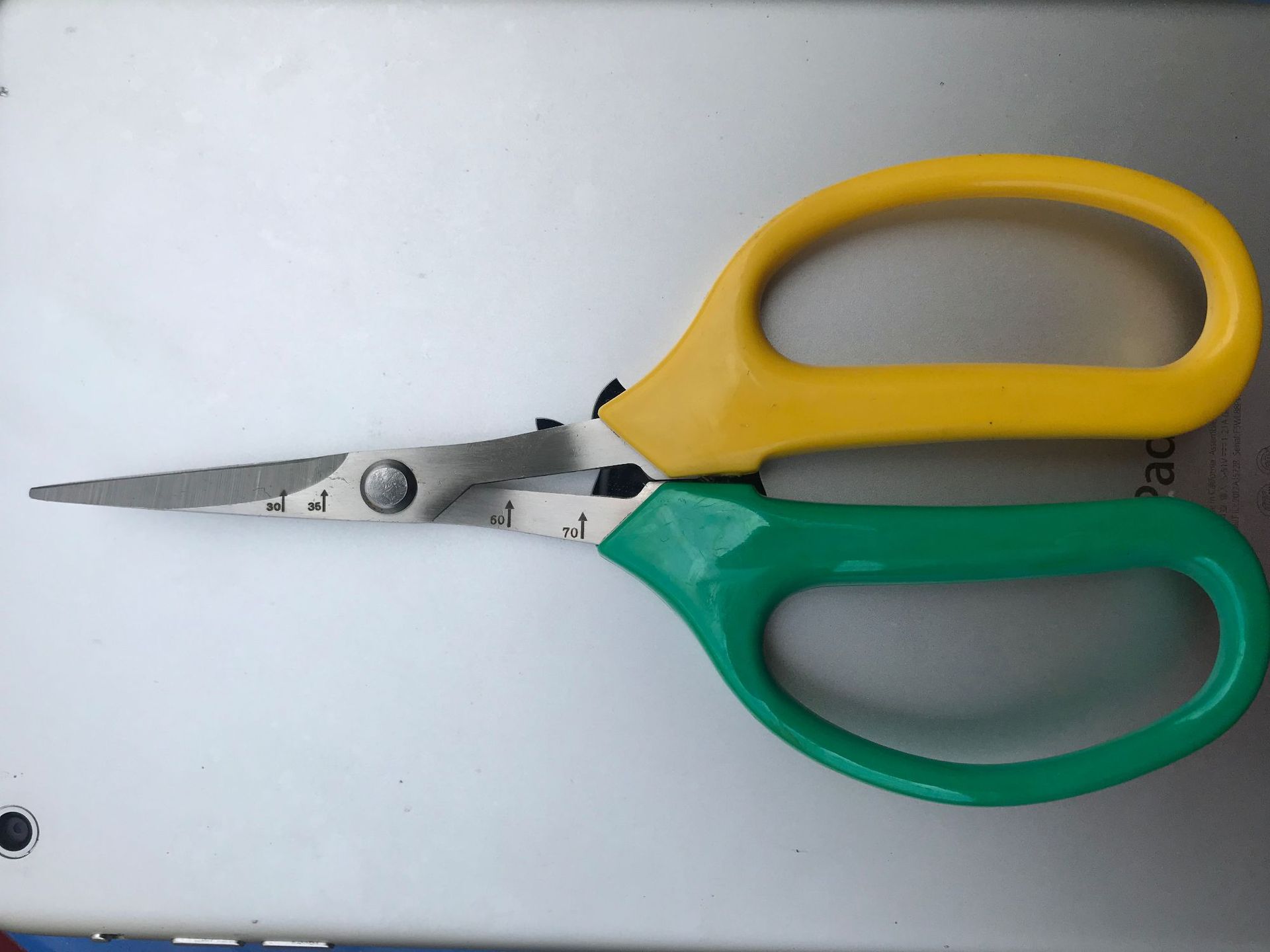 汪吾铨葡萄翘头剪刀 不锈钢修果剪稀果剪蔬果剪葡萄剪刀