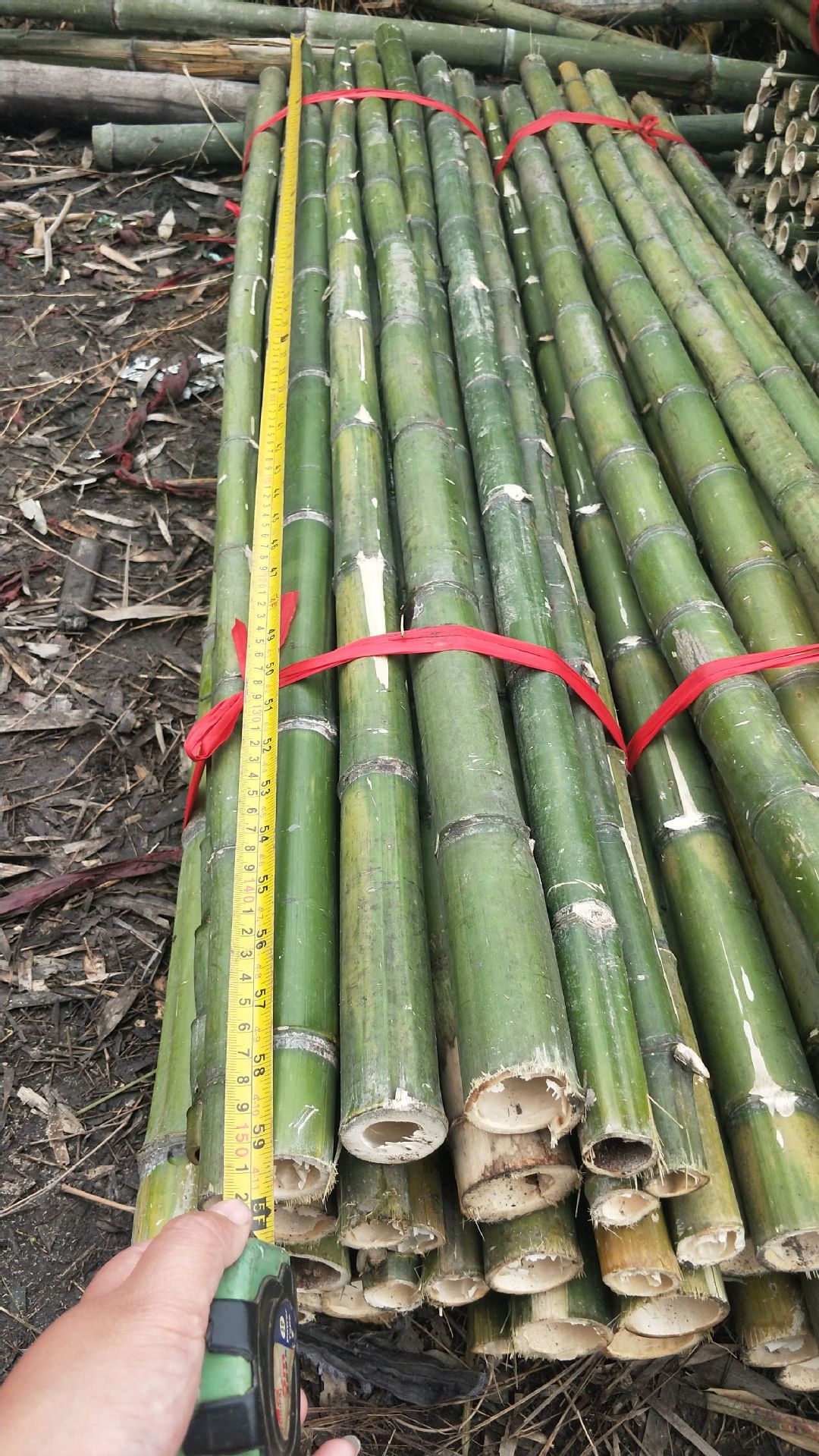 园林绿化树木支撑杆厂家 毛竹稍 楠竹尾量大从优