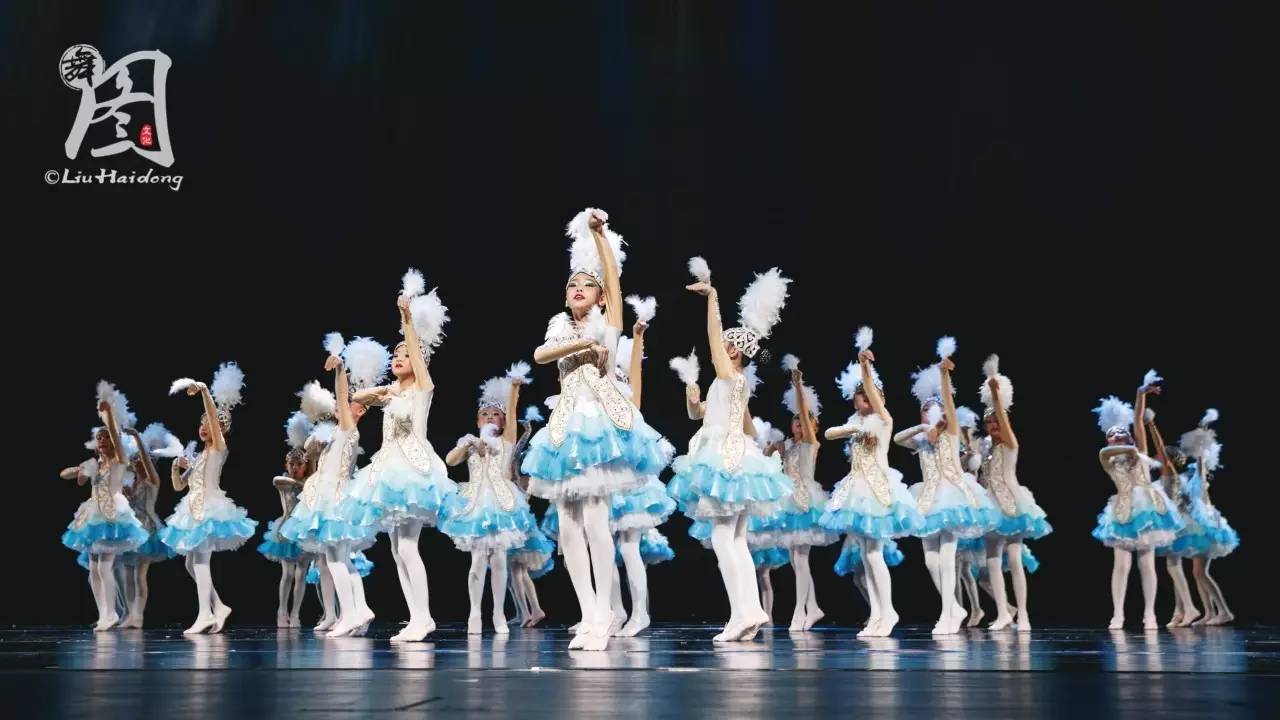 小荷风采向天歌舞蹈表演服女可定制咏鹅儿童少儿蓬蓬纱裙演出服装